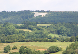 Kilburn white horse - Sutton Bank