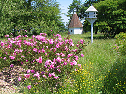 Sissinghurst Gardens