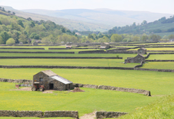 Swaledale